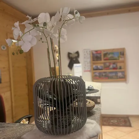 Bed & Breakfast Garni Elsa Pozza di Fassa